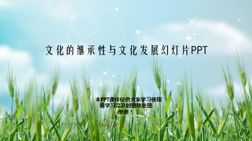 文化的继承性与文化发展幻灯片PPT