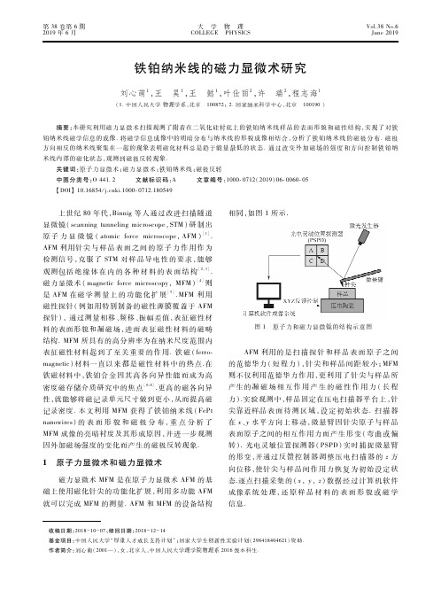 铁铂纳米线的磁力显微术研究