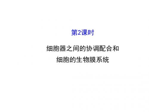 高中生物(人教版)必修一课件：3.2.2 细胞器之间的协调配合和细胞的生物膜系统