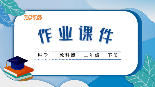 教科版科学二年级下册课件 第二单元 我们自己4 测试反应快慢 作业课件