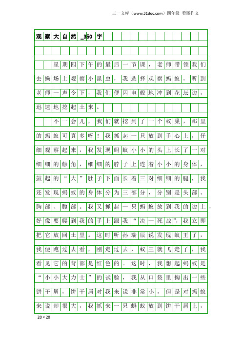 四年级看图作文：观察大自然_350字