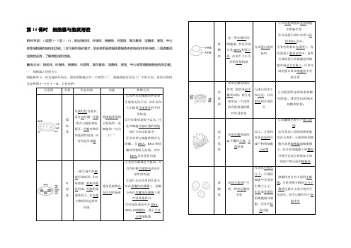 2022生物北师大版必修1习题：第3章 第10课时 细胞器与胞质溶胶 