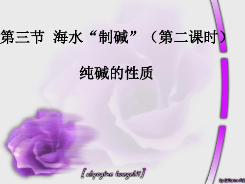 纯碱的性质