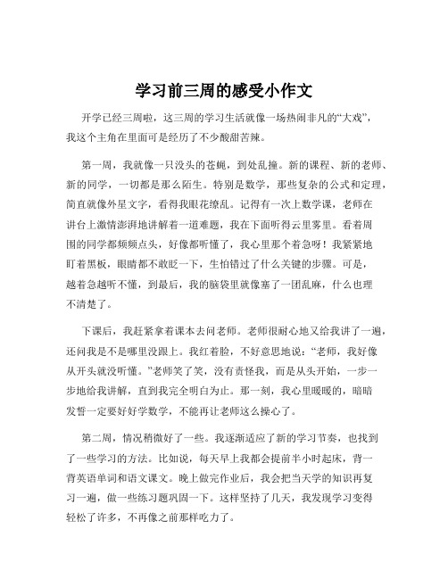 学习前三周的感受小作文