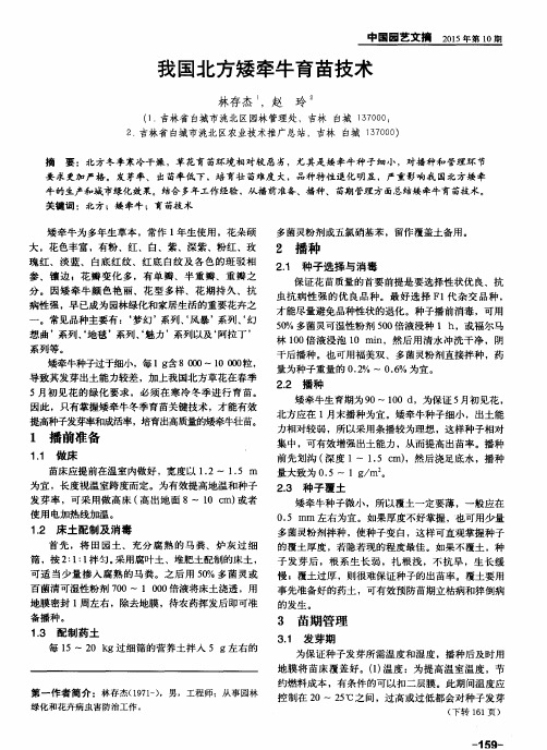 我国北方矮牵牛育苗技术