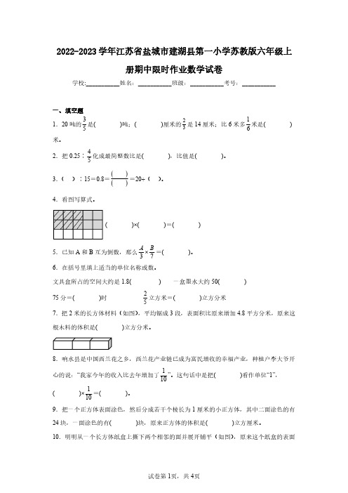 2022-2023学年江苏省盐城市建湖县第一小学苏教版六年级上册期中限时作业数学试卷(含答案解析)