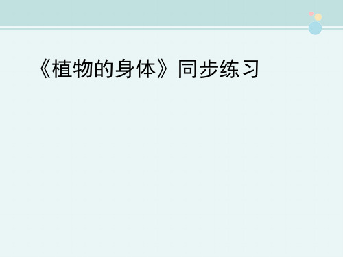 〖2021年整理〗《植物的身体》同步练习完整教学课件PPT