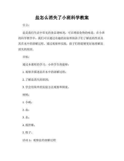 盐怎么消失了小班科学教案