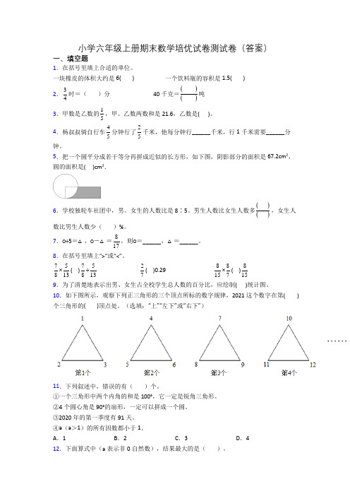 小学六年级上册期末数学培优试卷测试卷(答案)