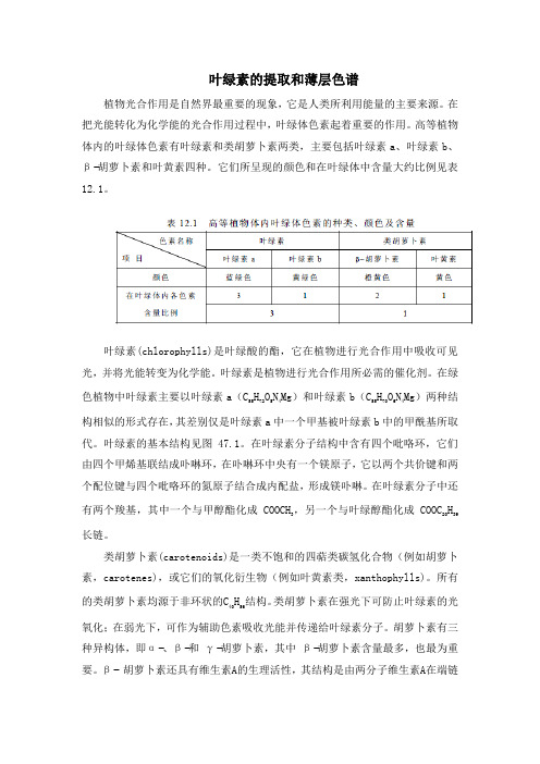 叶绿素的提取和薄层色谱