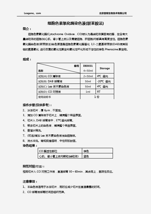 细胞色素氧化酶染色液(联苯胺法)