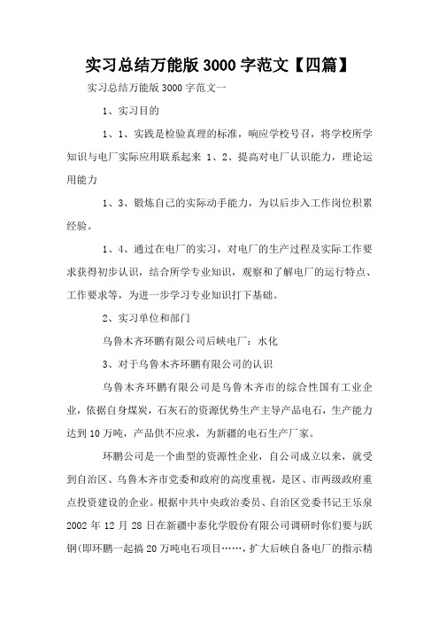 实习总结万能版3000字范文【四篇】