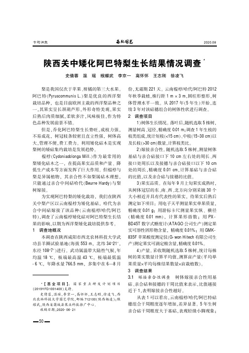 陕西关中矮化阿巴特梨生长结果情况调查