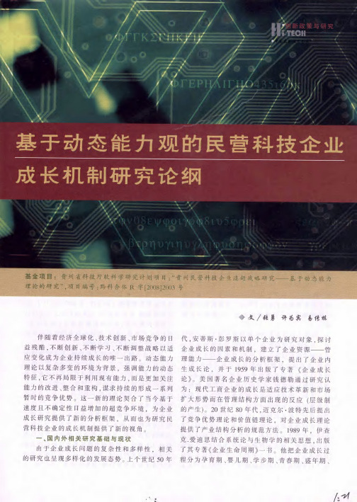 基于动态能力观的民营科技企业成长机制研究论纲