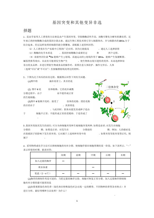 基因突变和其他变异  试题