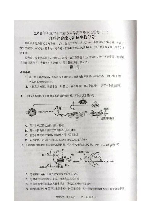 天津市十二重点中学2018届高三下学期毕业班联考(二)理科综合(含答案)