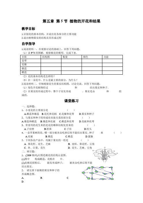 5.5植物的开花和结果
