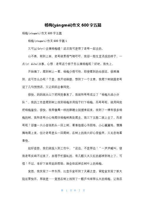 杨梅作文600字五篇