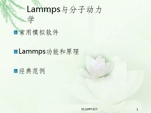 3LAMMPS软件与materials_studio软件介绍ppt课件