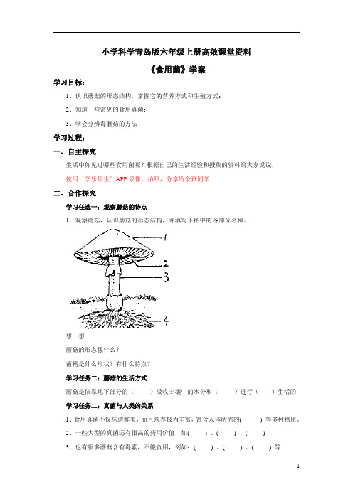 小学科学青岛版六年级上册高效课堂资料《食用菌》学案1