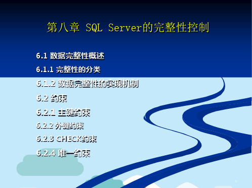 第六章完整性控制(“约束”相关文档)共74张