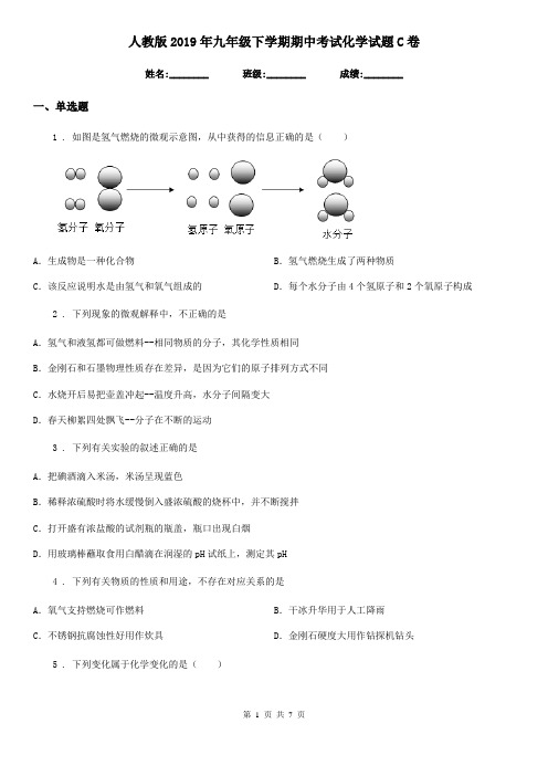 人教版2019年九年级下学期期中考试化学试题C卷