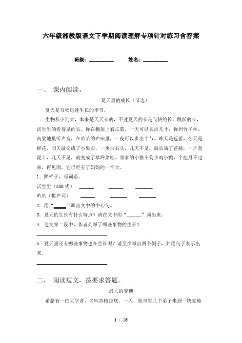 六年级湘教版语文下学期阅读理解专项针对练习含答案