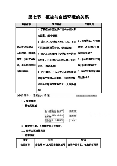 植被与自然环境的关系Word版含解析