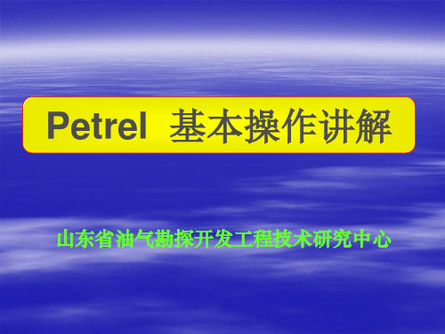 petrel教程