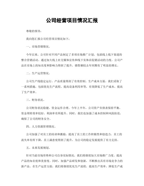 公司经营项目情况汇报