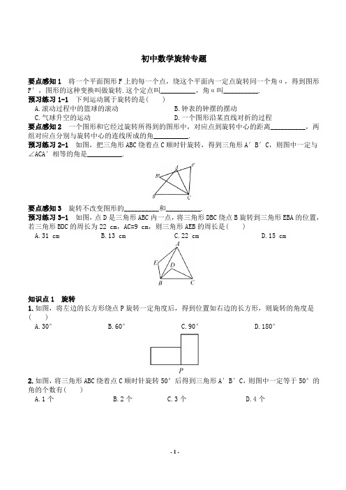 初中数学旋转专题(含答案)