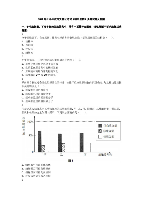 2019年上半年教师资格证考试《初中生物》真题试卷及答案