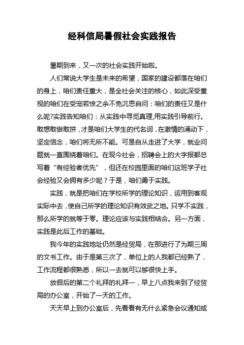 经科信局暑假社会实践报告