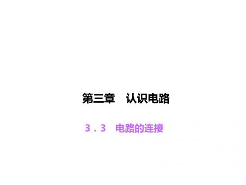 教科版九年级物理上册习题课件：3.3 电路的连接