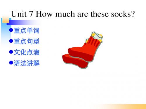 新版七年级初一上册第七课英语Unit 7 How much are these socks