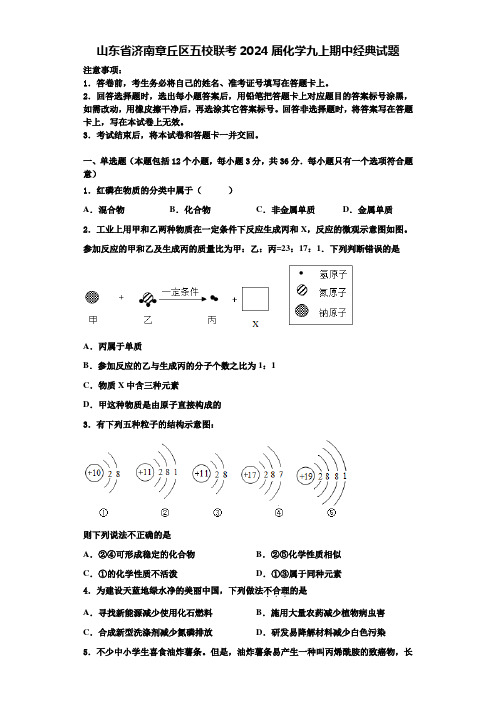 山东省济南章丘区五校联考2024届化学九上期中经典试题含答案解析