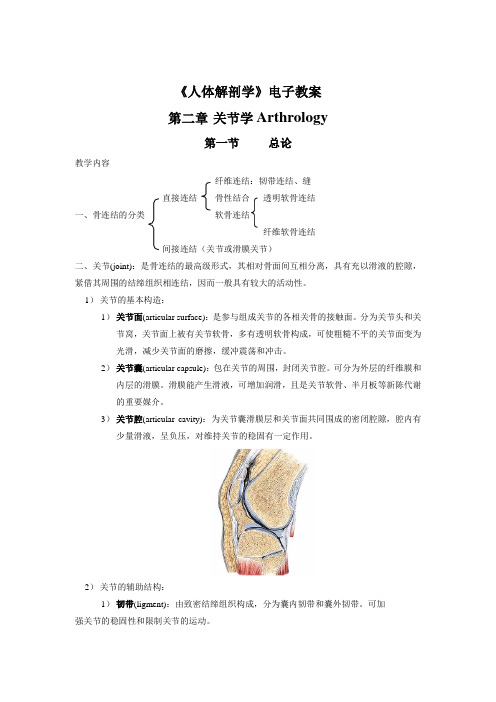 《人体解剖学》电子教案关节学(人卫版)