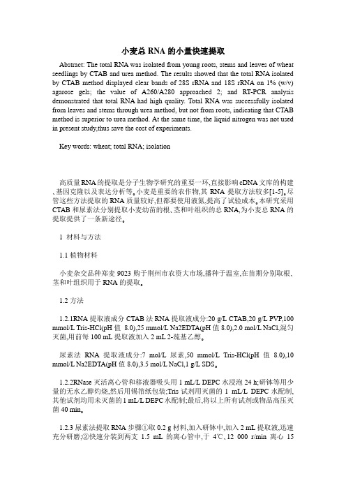 小麦总RNA的小量快速提取