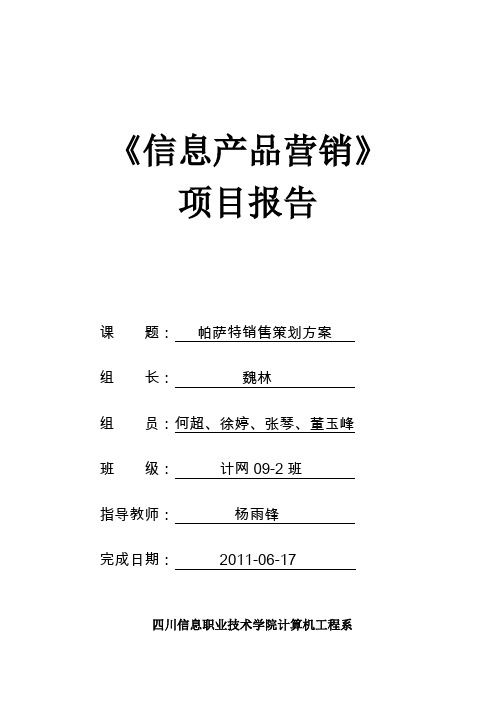 帕萨特销售策划方案