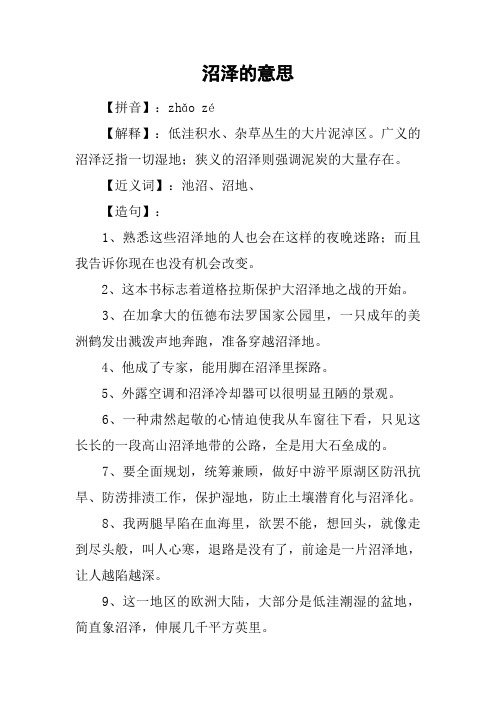 沼泽的意思
