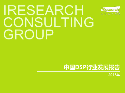 2013年中国DSP行业发展报告