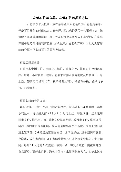 盆栽石竹怎么养,盆栽石竹的养殖方法.doc