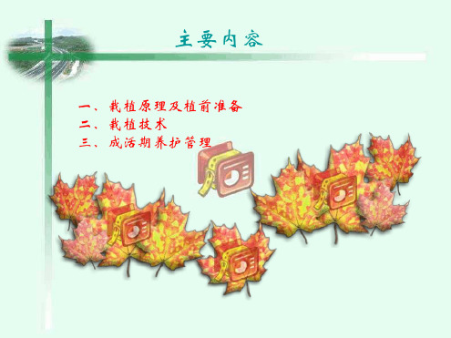 园林树木栽植与养护