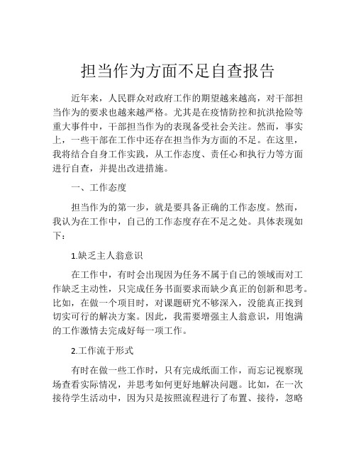 担当作为方面不足自查报告