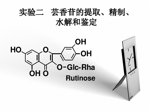 芸香苷的提取、精制、水解和鉴定