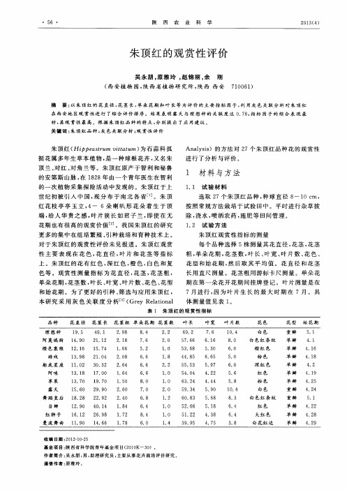 朱顶红的观赏性评价