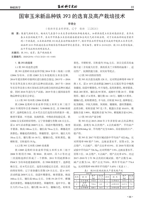 国审玉米新品种铁393的选育及高产栽培技术