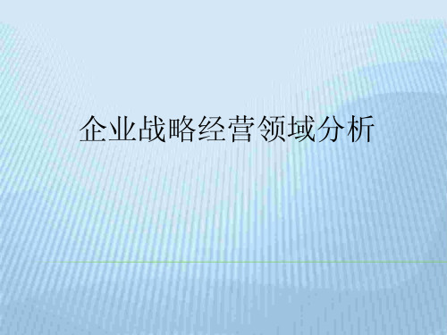 企业战略经营领域分析