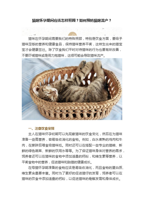 猫咪怀孕期间应该怎样照顾？如何预防猫咪流产？