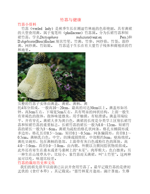 竹荪与健康